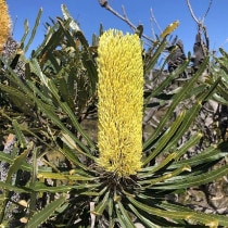 ����������ۥХ󥯥��������ƥʡ�����5����󥰥���å�ȭ