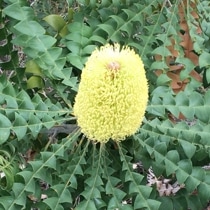 ����������ۥХ󥯥����������ǥ�����5����󥰥���å�ȭ