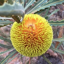 ����������ۥХ󥯥������饨�ӥ�����4����󥰥���å�ȭ