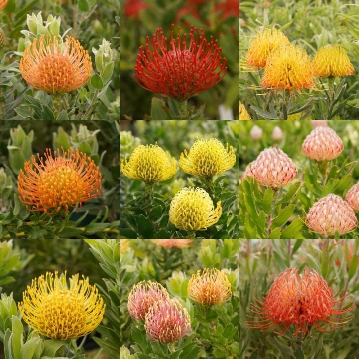 塼ڥޥࡡפ餤33ȡ4󥰡