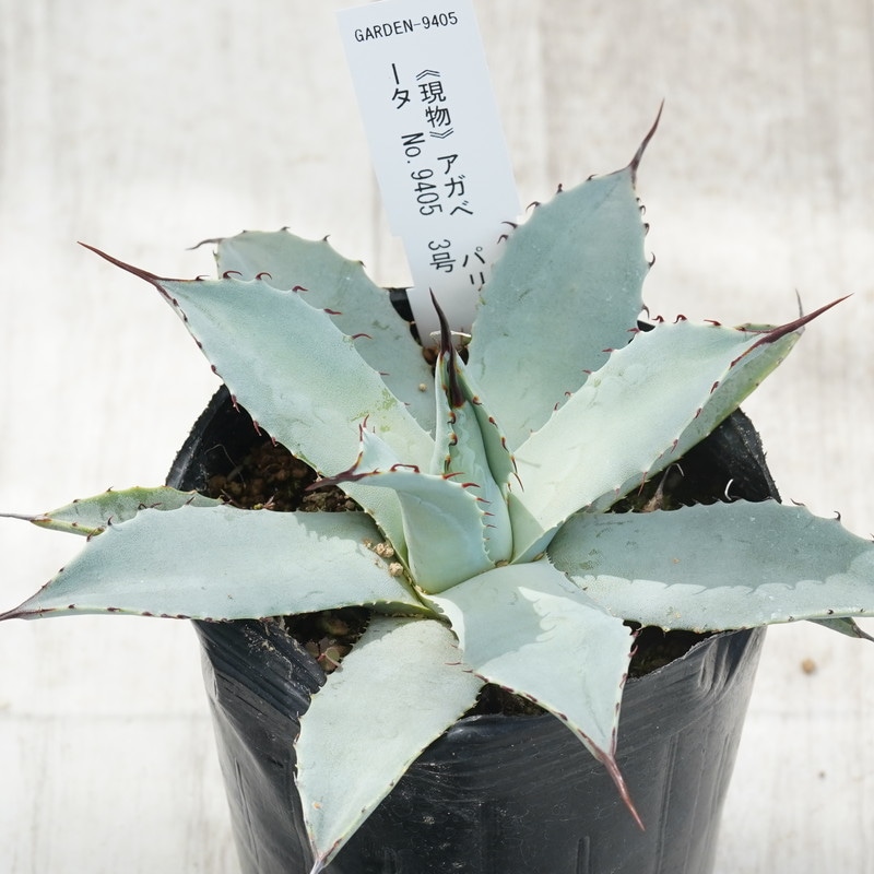 みー 94053 GIVI 423Fモノラックステー ZZR400N 1個 GIVI(ジビ