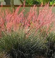 �إ��ڥ�������ѥ�ӥե����顡3����󥰥ݥåȡ�