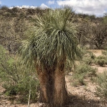 ��å������顼����3����󥰥ݥåȡ�