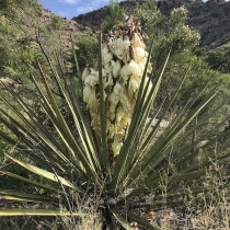 ��å����Хå�����3����󥰥ݥåȡ�