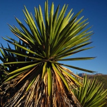 ��å����ե������˥��ʡ�3����󥰥ݥåȡ�