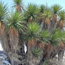 ��å����ڥꥯ��������3����󥰥ݥåȡ�