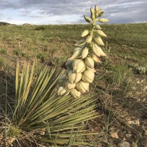 ��å������饦���֥��󥰥��ƥ��ե��ꥢ�ס�3����󥰥ݥåȡ�