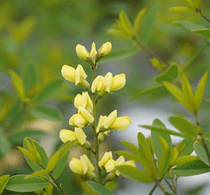 �Хץƥ������֥����饤�ʥࡼ��饤�ȡס�6����󥰥ݥåȡ�