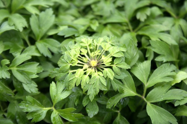 �ڻ�����ۥ��ͥ�͡��ӥ쥹����