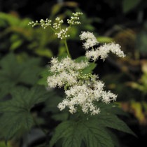 �ڻ��������ֵ����λ�