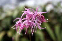 �ڻ�����ۥ����꥽���ֹȵ���