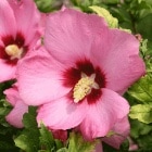 �९���֥��ե������ȡ�