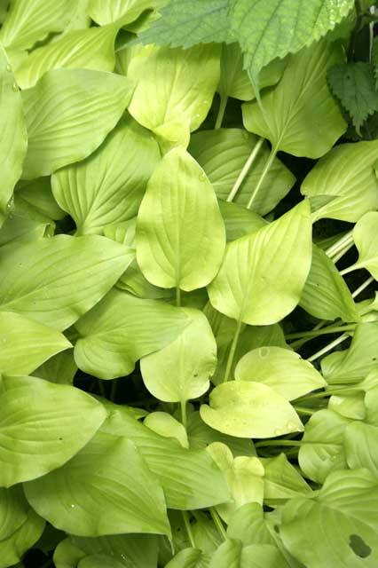 ����̤Τ��󤶤��ֶ��̡�4����󥰥ݥå�