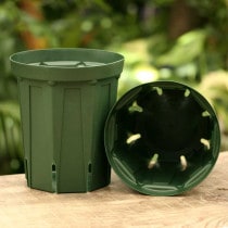 ��������å�ȭ��10���ȡ���6�������10�ġ�