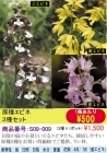 �ڻ�����۸��泌�ӥ͡�3�糧�å�