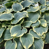 �ڽɺ���ۥ��ܥ������Ϲ���10���ޤȤ��㤤