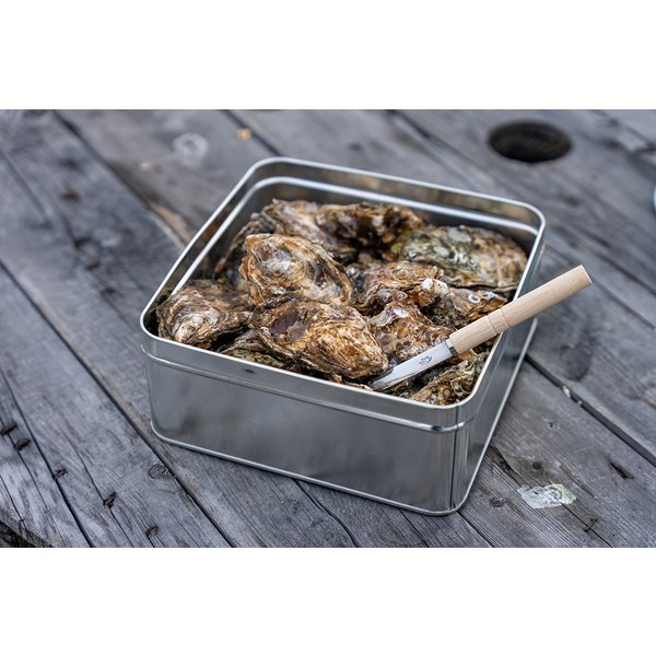 広島県産 島田水産 殻付き牡蠣のカンカン焼きセット（説明書付き）無選別2kg(20粒～30粒）