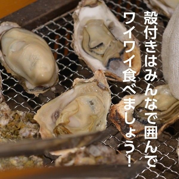 【冷凍】島田水産 殻付き牡蠣  15個