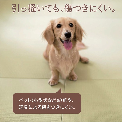 若草色 厚み30mmまでのサイズオーダー 【清流】大建工業(株) 健やかお