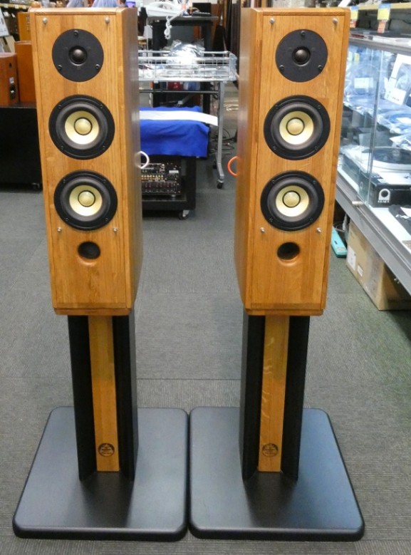 Pioneer S-PM300 2個 Pioneer S-PM300 2個 Pioneer パイオニア S-PM300 ピュアモルト