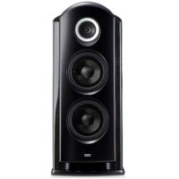 TAD TAD-R1TX-EB/������ɥ֥�å� (�ڥ�)�ե���������ǥ��󥰥��ԡ�����