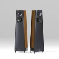YG Acoustics TALUS  (ڥ)