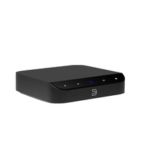 Bluesound NODE NANO �磻��쥹�ߥ塼���å����ȥ꡼�ޡ�