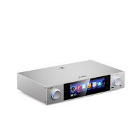 FIIO S15 �磻��쥹�ߥ塼���å����ȥ꡼�ޡ� �ڤ����󤻡�