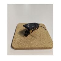 【中古品】EMPIRE 1000ZE/X ※送料無料《北海道・沖縄・離島を除く》