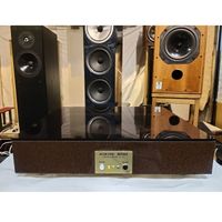 【中古品】Acoustic Revive RL-30※送料無料《北海道・沖縄・離島を除く》