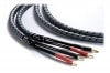 Real Cable 3D-TDC/3m() ڤ󤻡