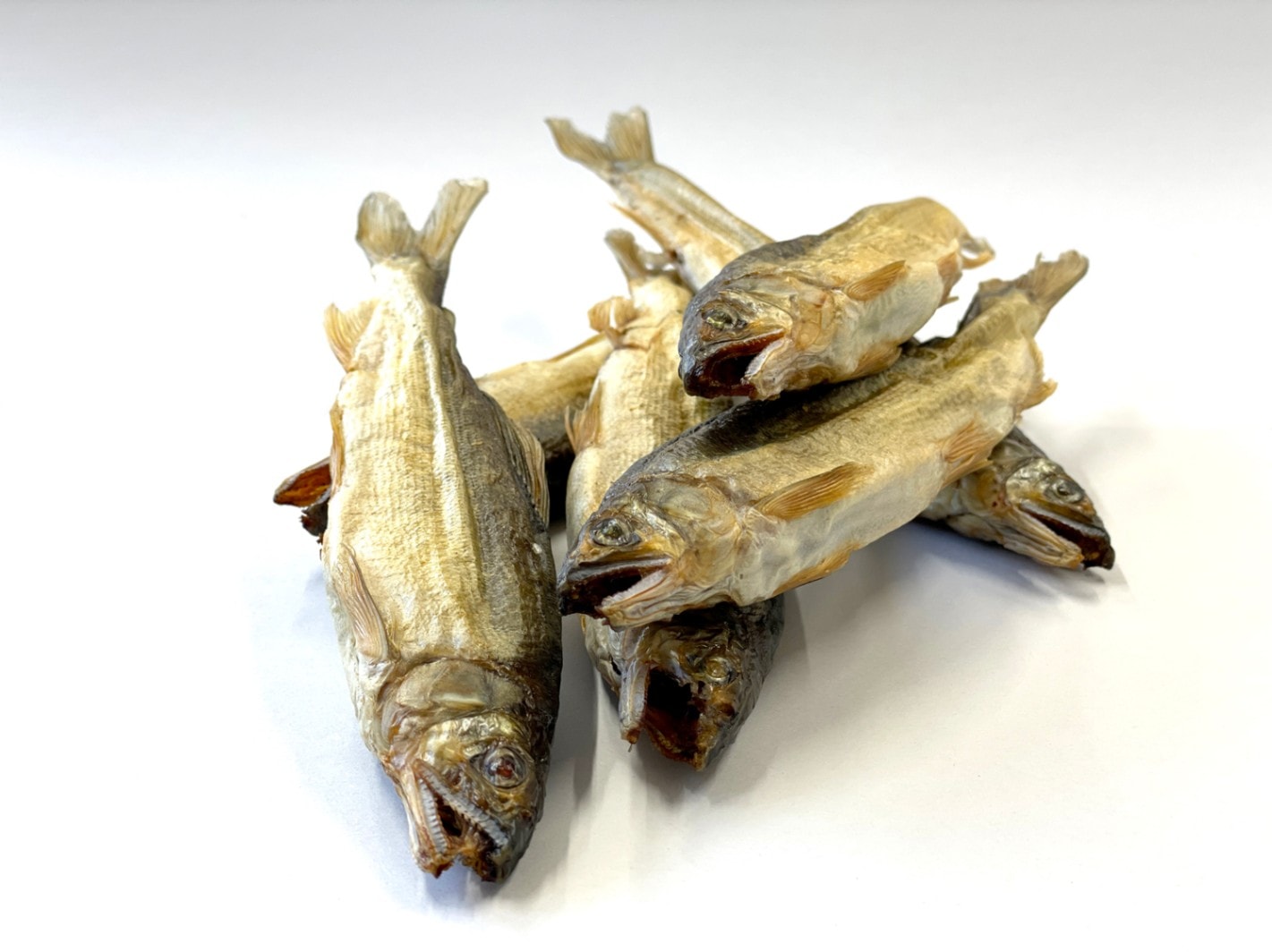 ヒューマングレードペットフード［鮎の燻製］Smoked Sweetfish