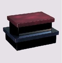 �⺬����ί������