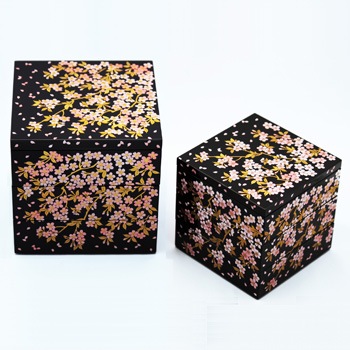 ������5.0���ʽ�Ȣ