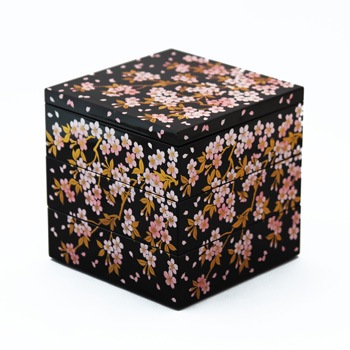 ������4.0���ʽ�Ȣ