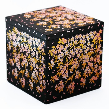 ������5.0���ʽ�Ȣ