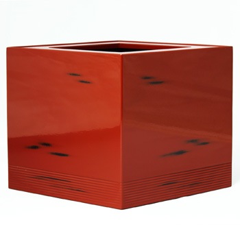 ������ɩ���ִ�