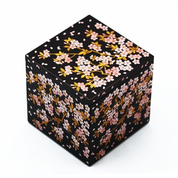 ������4.0���ʽ�Ȣ