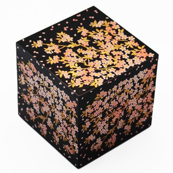 ������5.0���ʽ�Ȣ