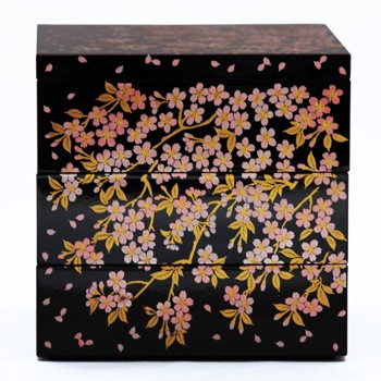 ������5.0���ʽ�Ȣ