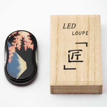 ����LED�롼�ڡ��ٻΤ˺���