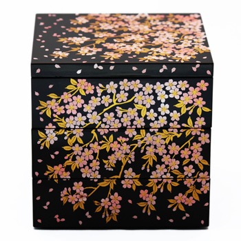 ������5.0���ʽ�Ȣ