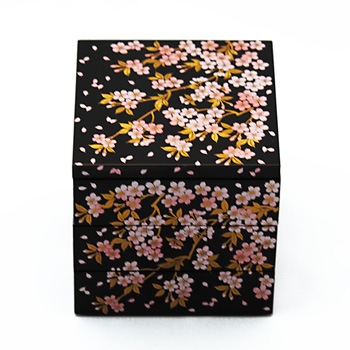 ������4.0���ʽ�Ȣ