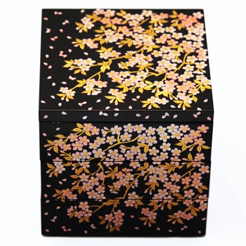 ������5.0���ʽ�Ȣ