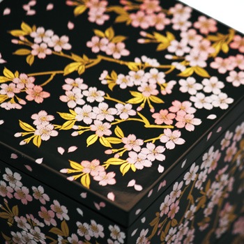 ������4.0���ʽ�Ȣ