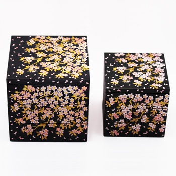 ������5.0���ʽ�Ȣ