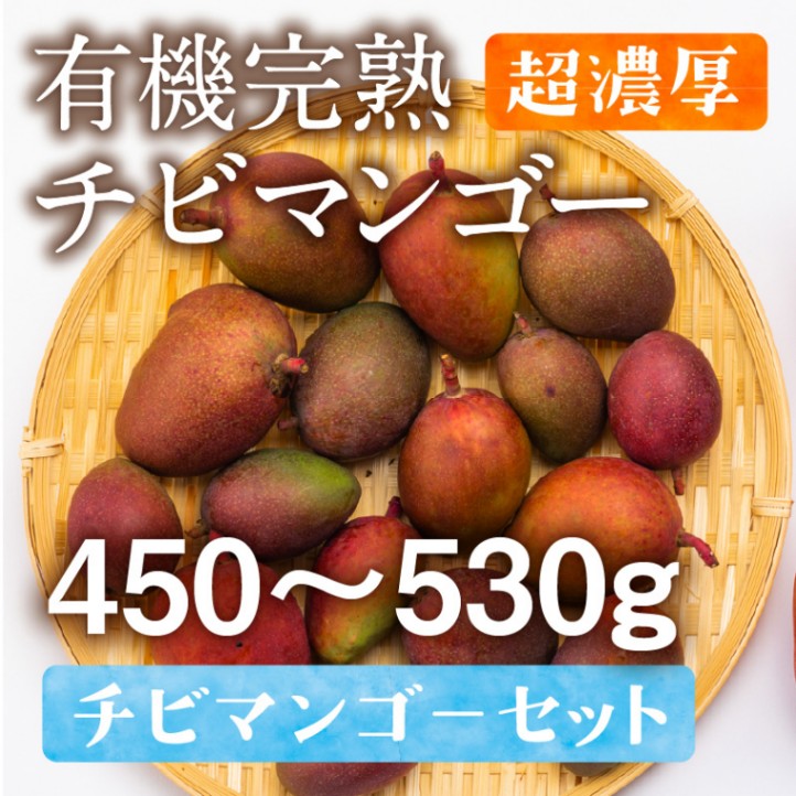 沖縄県産チビマンゴー450g～530g　　限定５０箱