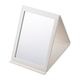 TZ-DESK-MIRROR<br>�ǥ����ߥ顼<br>�Ҽ�