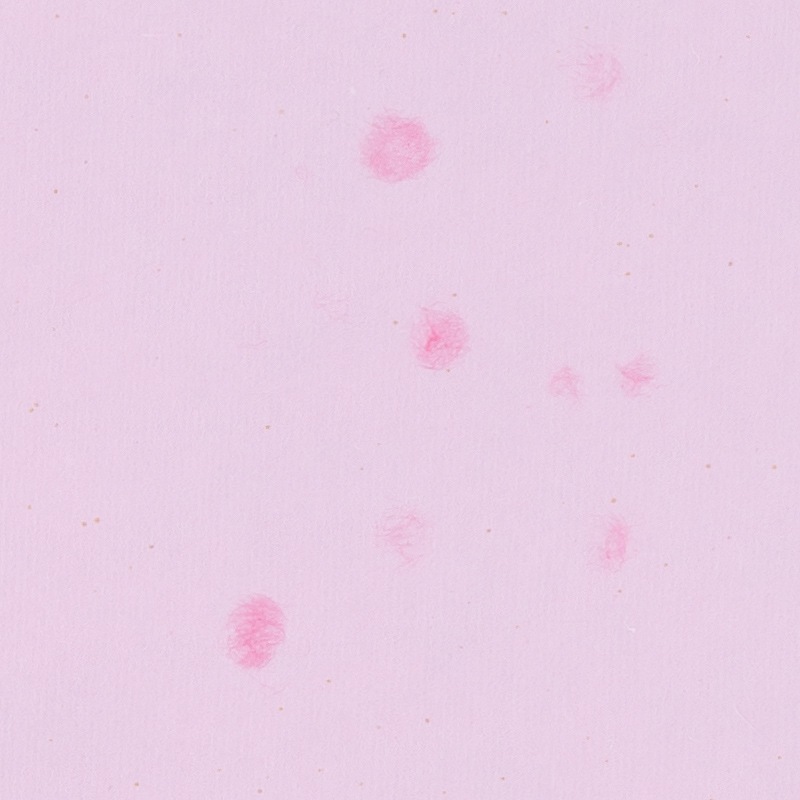 ��-701<br>��A4 4�ڡ������� ����16�ڡ��� )<br>ɽ���С��դ� ������˥塼�֥å�