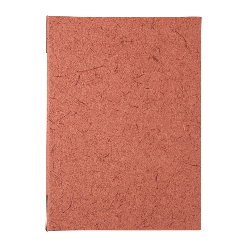 RE-801<br/>(A4��4P����/����12P)